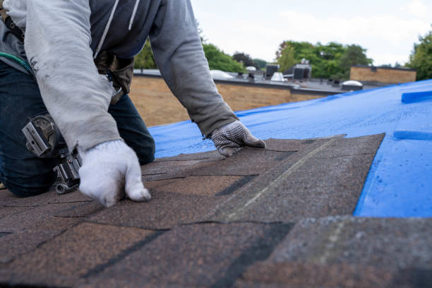 Best Roof Repair Services  in Fruit Hill, OH